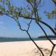 ap amplo com vista para mar com 3 suítes, Florianópolis - Foto 4