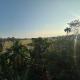 Niribili Homestay, Majuli - Φωτογραφία 7
