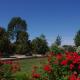 Olisios, beautiful farmhouse with private pool, Pampelonne (fotografie 9)
