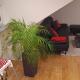 Ferienwohnung-Vetter, Bodelshausen - Foto 5