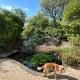 Hael Farm Cottage, Swansea - Foto 7