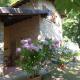 Chalet - Metato sulle Alpi Apuane, Mezzana (fotografie 3)