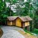 Song Of The Trees, Idukki - Photo 5