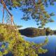Lumous Forest Hut, Luontovire, Hankasalmi - Photo 4