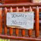 Knotty By Nature Sevierville - Photo 3