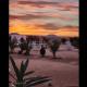 Splendid desert Saharian Luxury Camp in quiet and idyllic sand dunes Tisserdmine - Zdjęcie 7