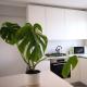 Nuwe Lingen Luxury Accommodation - Eastcliff, Hermanus, Hermanus (zdjęcie 8)