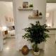 Suite Mario - Colosseo, Roma - Foto 8