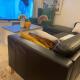 Appartement Paris 10e Arrondissement, Paris - Foto 3