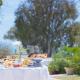 Princesse Aicha , Ladies only , B&B & piscine , Sidi bou said, Тунис (фото 8)