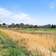 Ouray Street - Commerce City, Henderson (fotografie 3)