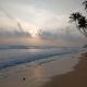 Rangana Beach Rest, Talpe