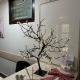 Apartment Mountain View Haven, Kopaonik (photo 4)
