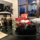 Apartment Mountain View Haven, Kopaonik (photo 3)