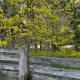 Bantry Tiny Home, Burradoo (Foto 10)