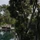 The River Sanctuary, Nyanyi Beach Canggu - Fotografie 6