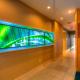 SpringHill Suites by Marriott - Tampa Brandon - Foto 9