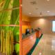 SpringHill Suites by Marriott - Tampa Brandon - Foto 8