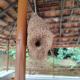Shivalaya Homestay, Madikeri - Foto 6