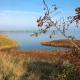 Heimathafen, Insel Poel - Foto 7