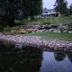 Charming home on Lake Latoka, Alexandria (photo 8)