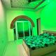 prithvis redville farmhouse & agro tourisam, Panvel - Foto 3