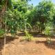 Vill Brahmi Stay Gokarna, Gokarn - 写真 8
