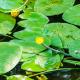 Landhotel Mappacher Hof, Bruck in der Oberpfalz - 写真 1
