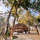 Happy Lemon Tree lodge, Sauraha - Fotografie 2