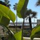 Palm Beach front de mer, Cannes - Fotografie 1
