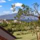 Ocean Bliss Awaits - Spacious Lanai - Outdoor Grill - Golf Course Views, Lahaina (fotografie 2)