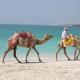 1Bedroom Apartment in Dubai Marina near to beach & Metro Z1006, Dubái - Foto 9