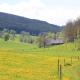 Luxuriöse Schwarzwald Loft Heustock mit Sauna und Whirlpool am Griesbachhof, Titisee-Neustadt - Kuva 2
