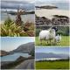 Sheepviewhouse Jamie, Kilgarvan - Fotografie 6