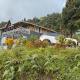 Pine Forest Retreat, Kurseong - Fotografie 7