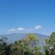 Homestay 38 sittong-3, Darjeeling - Foto 5