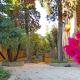 Palma Residences In Rome, Roma - Foto 8