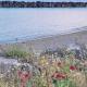 Elmer belle beach Bognor regis accommodation, Yapton (fotografie 4)