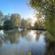Manor Fisheries, Headcorn (fotografie 5)