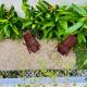 50b Homestay, Tây Ninh (photo 6)