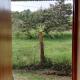 Casita del Prado - Petfriendly, Oxapampa - Fotografie 8