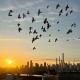 See NY Now Sleeps 21