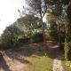 1BR Apartment in the heart of nature near Seville with swimming pool and parking, Espartinas (foto 2)