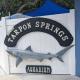 Cute 2B2B House, walk to Sponge Dock, Pet friendly, Tarpon Springs (foto 10)