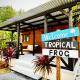 Tropical Frog