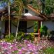 The Nest House, Pai (foto 2)