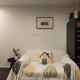 Stylish and Unique home at the heart of Newmarket, Окленд - Фото 10