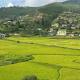 Green valley boutique, Paro (foto 7)
