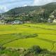 Green valley boutique, Paro (foto 6)