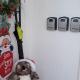 La Casa Verde in Warner Lakes - A Boutique Guesthouse - A Welcoming Homestay, Brendale (foto 9)